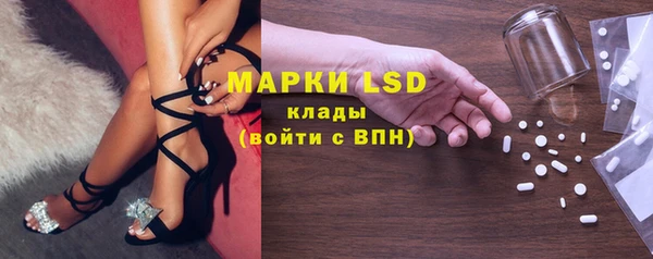 винт Алзамай