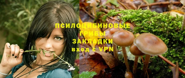 винт Алзамай