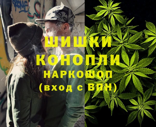 винт Алзамай