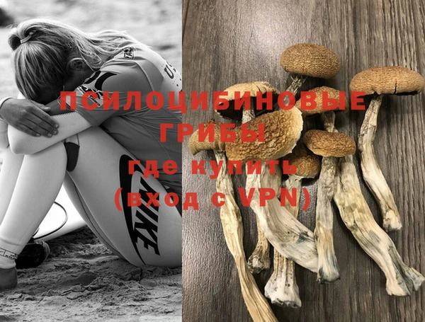 винт Алзамай